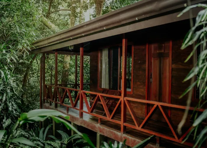 Jaguarundi Lodge - Monteverde