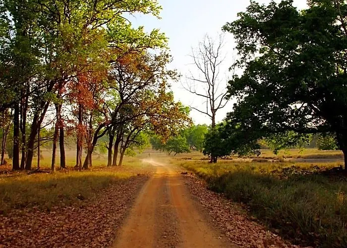 Tuli Tiger Resort