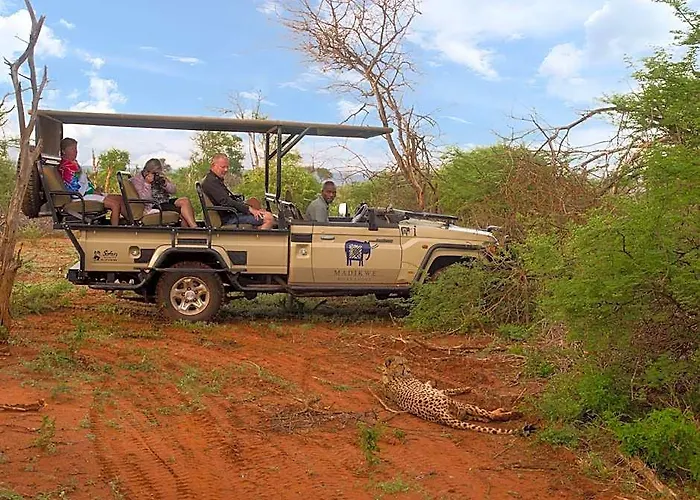 Madikwe River Lodge
