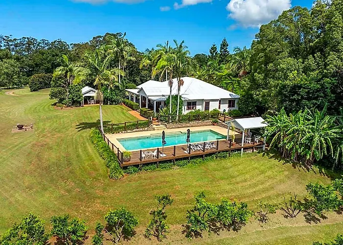 Cedia At Byron Bay Hinterland