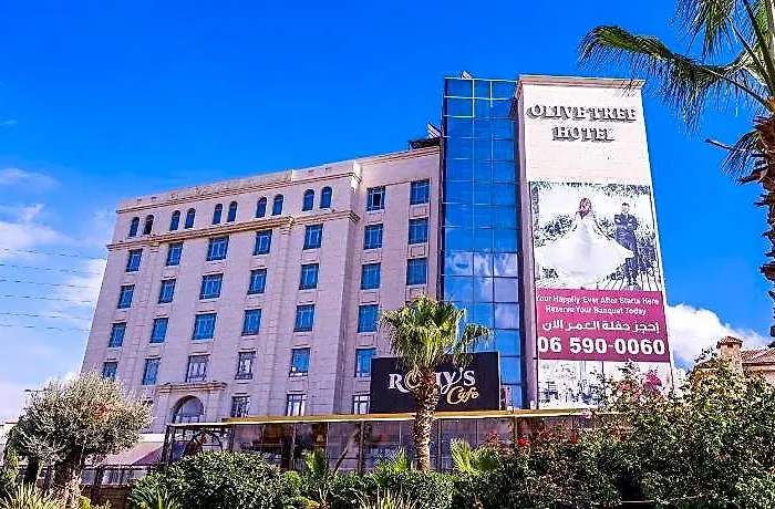 Olive Tree Amman