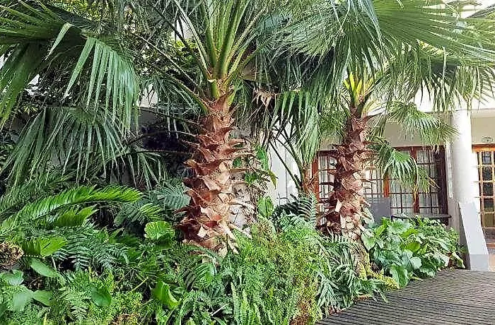 Riviera Hotel