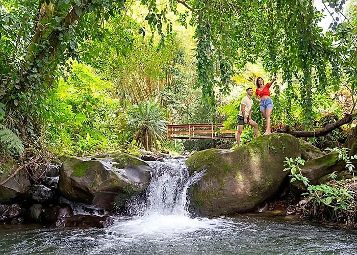 Chachagua Rainforest Hotel & Hot Springs