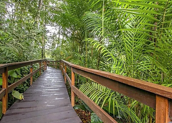 Chachagua Rainforest Hotel & Hot Springs