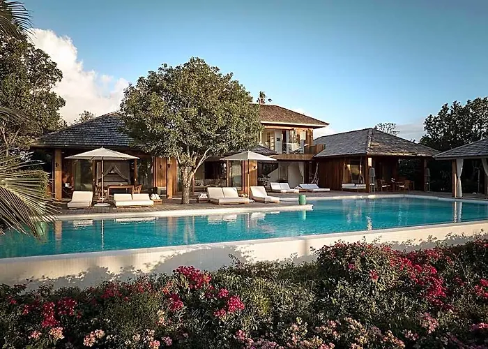 Como Parrot Cay