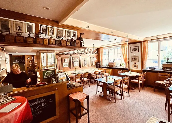 Hotel-Landgasthof Gruener Baum - Dittigheim