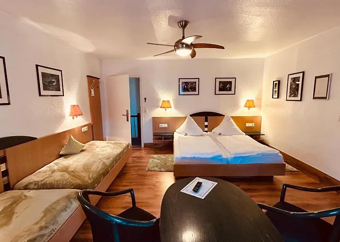 Hotel-Landgasthof Gruener Baum - Dittigheim