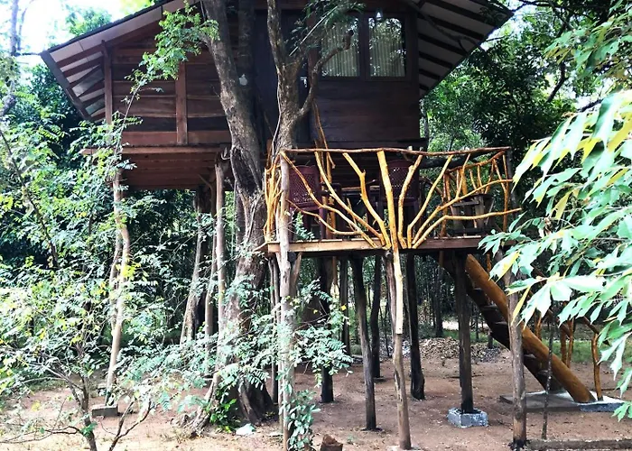 Sky Forest