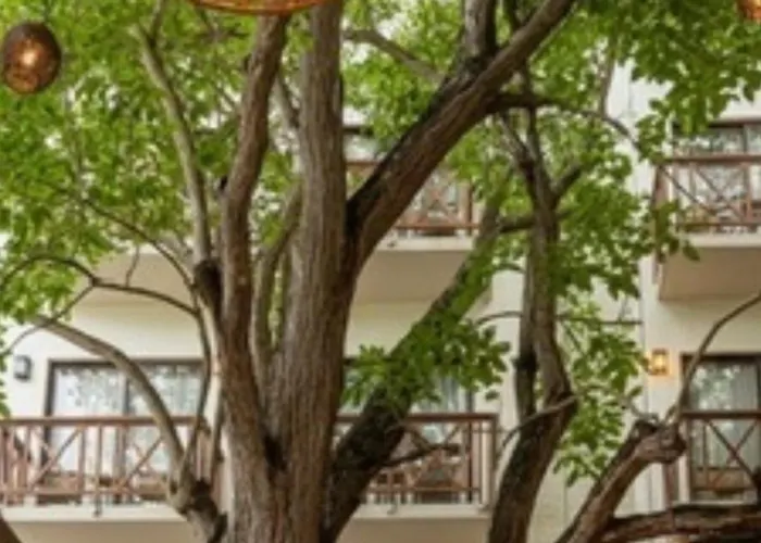 Ciye Hotel