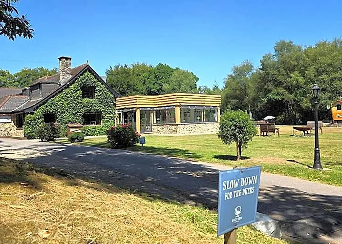 Lakeview Manor