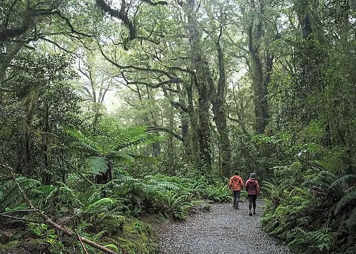 Fiordland National Park Lodge