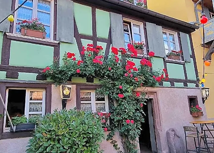 Chambres Gambrinus