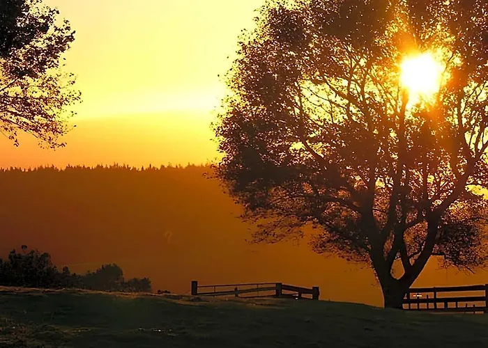 Waitomo Boutique Lodge