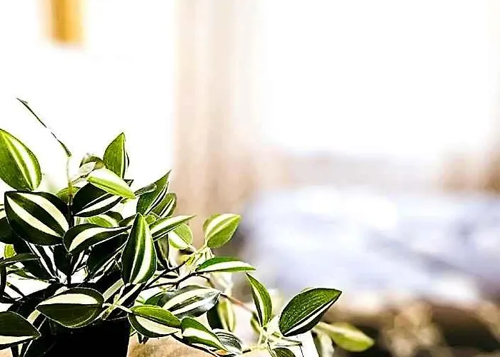Cofy Rentals, A/C, Free Parking, Online Check-In!