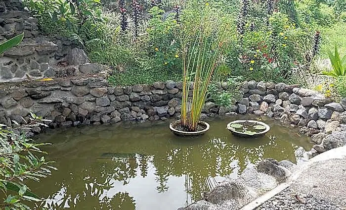Graha Ayoe