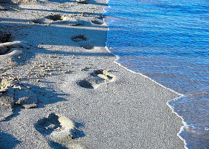Hotel White Rose Beach