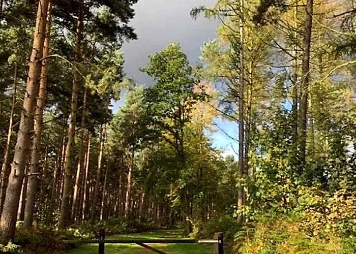 Hollicarrs - Pinewood Lodge