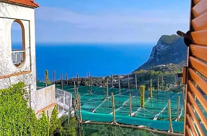 Villa Mariel