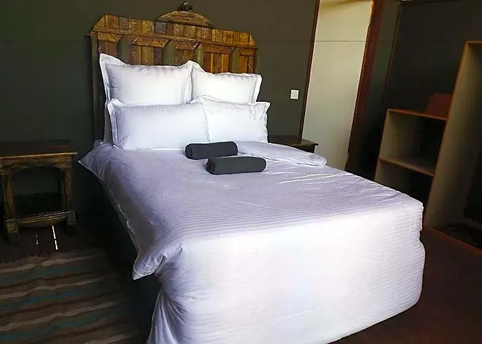 Lion Roars Lodge