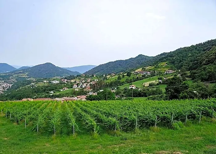 Agriturismo Podere Cavaga Lago D'Iseo Agribio Winery