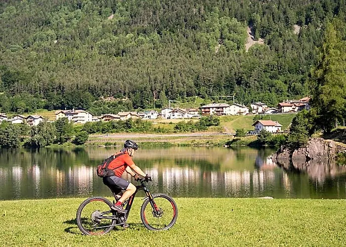 Active Hotel Pineta