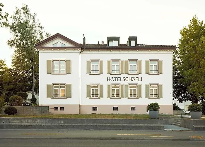 Hotel Schaefli