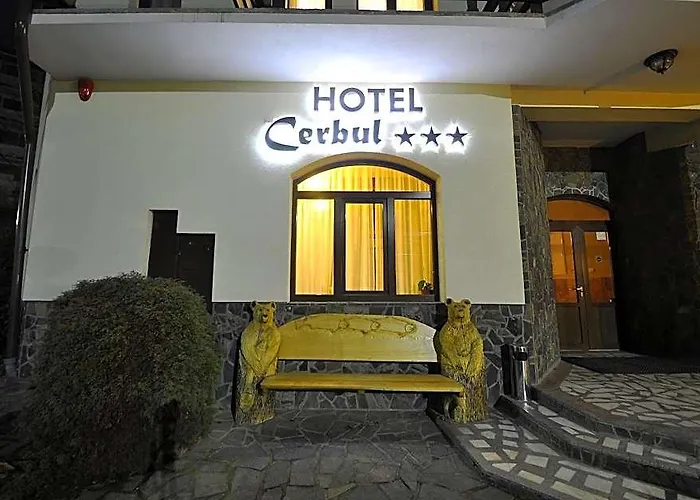 Hotel Cerbul