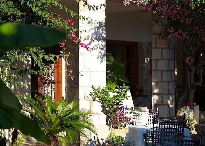 Hotel Villa Barbat