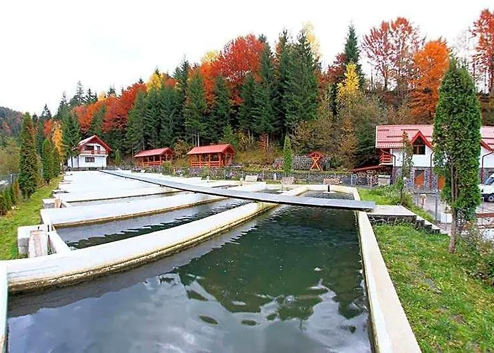 Hotel Paltinis