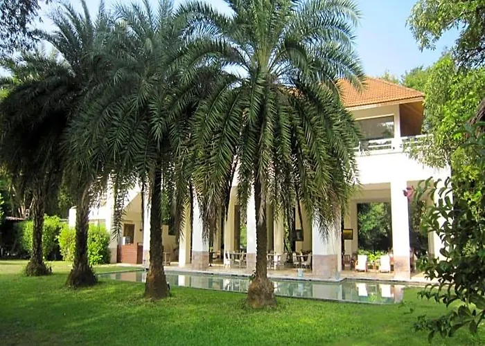Hakuna Matata Nature Resort