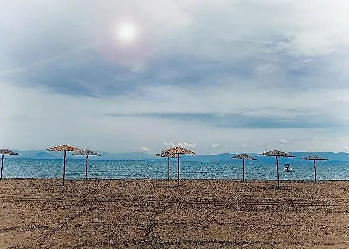 Olive Grove Beachfront