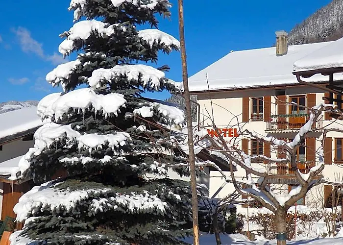 Hotel Viallet