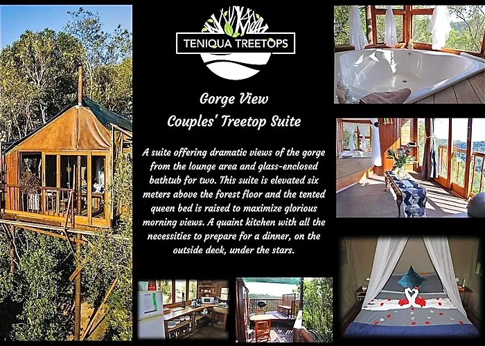 Teniqua Treetops