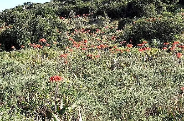 Kudu Ridge Game Ranch Guest House
