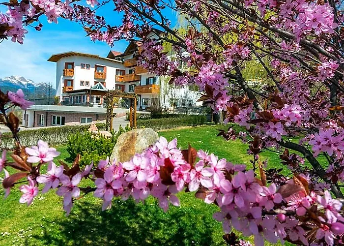 La Montanina Hotel In Val Di Non