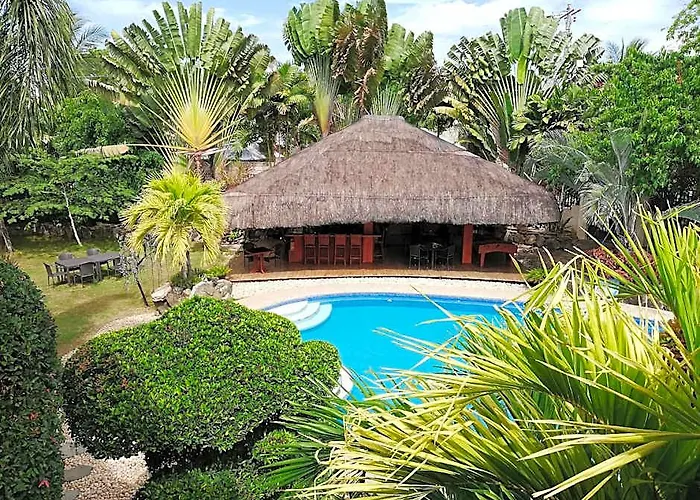 Alona Golden Palm