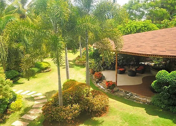 Alona Golden Palm