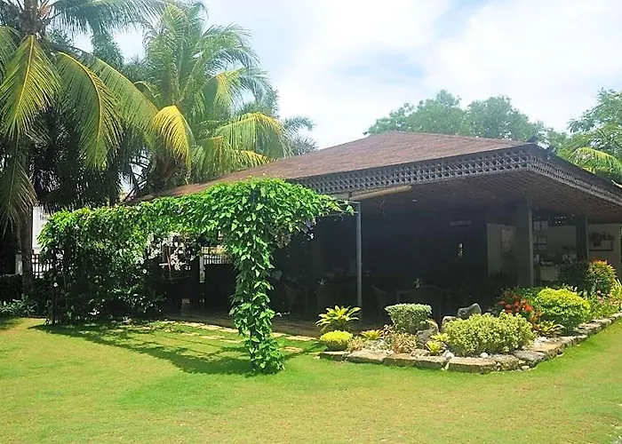 Alona Golden Palm