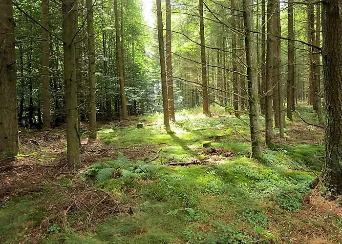 Blick Zum Maimont