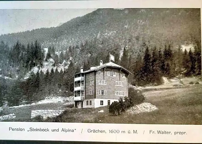 Hotel Alpina