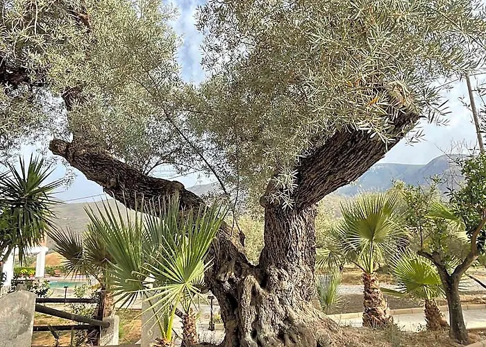 Cortijo Tayula-Centro De Recuperacion Y Descanso
