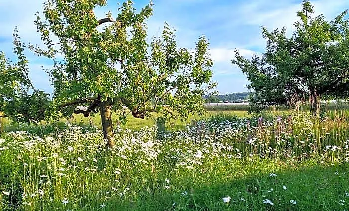 Vorgebirgsblick Gaestezimmer Mit Self-Checkin