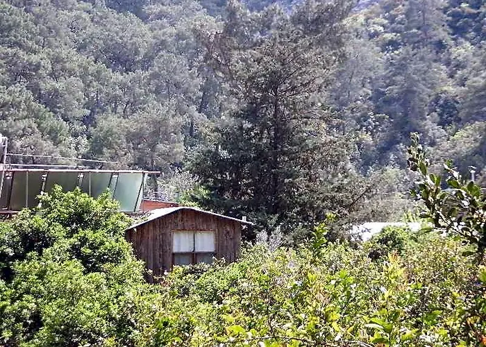 Orange Bungalows Hotel