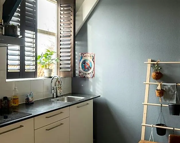 Bed And Breakfast Du Parc Zaandam