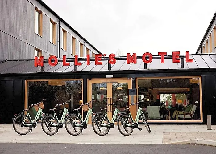 Mollie'S Bristol