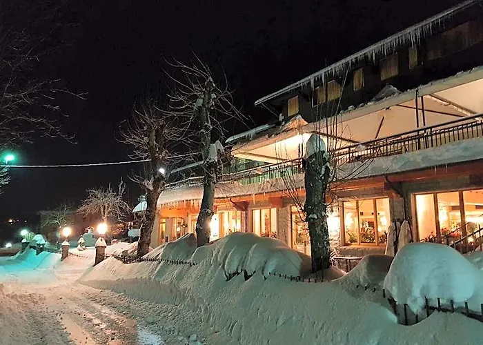 Albergo Ristorante Il Laghetto