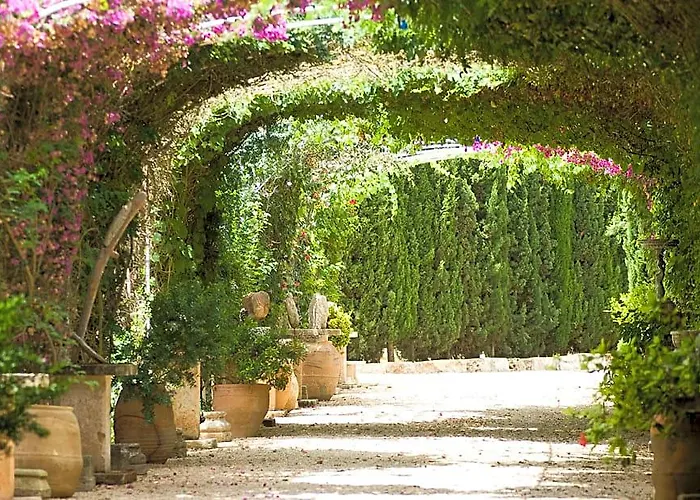 Es Revellar Art Resort