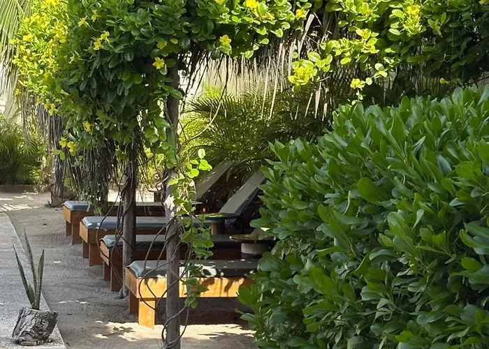 Mexhe Hotel El Cuyo