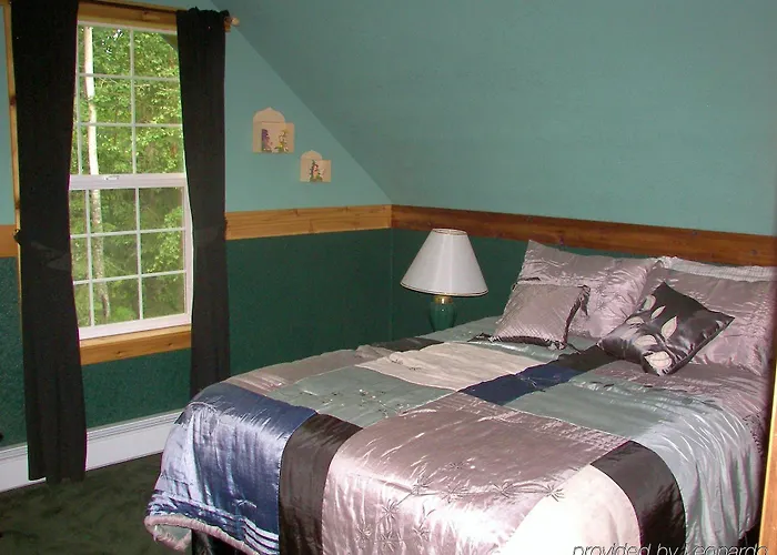 Blonde Bear Bed And Breakfast