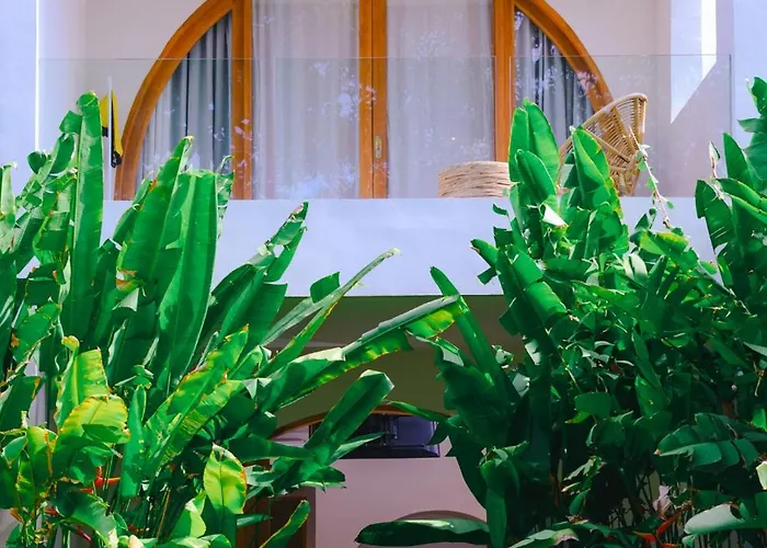 Namal Resort - Free Scooter And Gym Access
